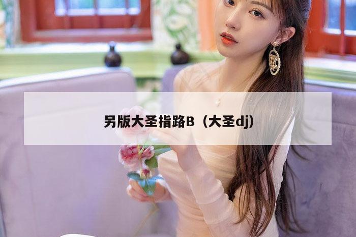 另版大圣指路B（大圣dj）