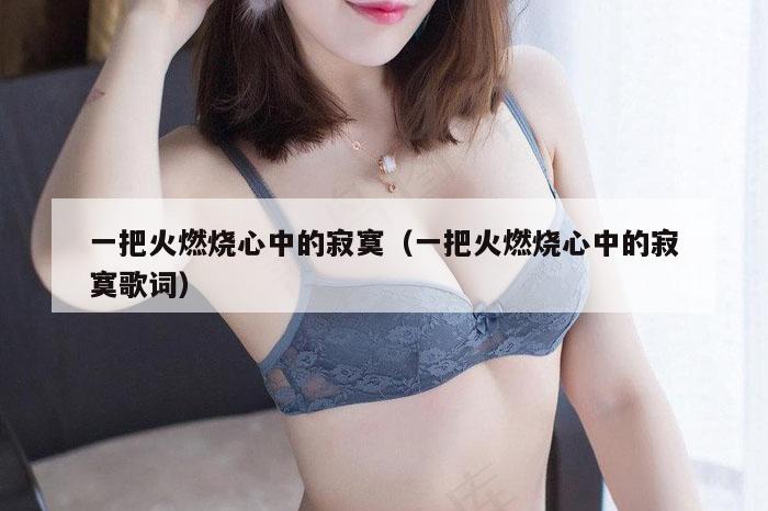 一把火燃烧心中的寂寞（一把火燃烧心中的寂寞歌词）